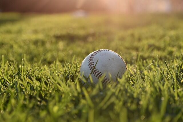 ジャッジ、大谷、イチロー←贔屓に一人欲しいのは? ジャッジ、大谷、イチロー←贔屓に一人欲しいのは?
