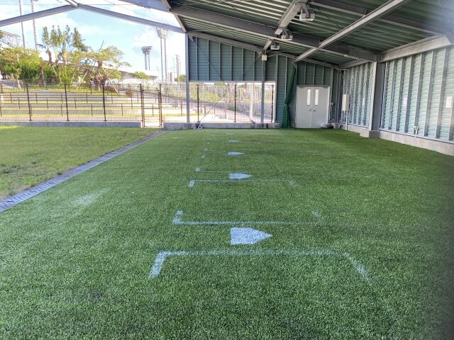 プロ野球キャンプ　ブルペンの投球練習で絶賛←これ