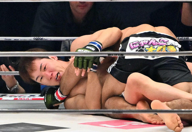 uUzvQ3lML_bkIqyakc1vFhNrRI0RUQxg5aFkrX0xDg1_T0wXrbEJjtNGtrf1