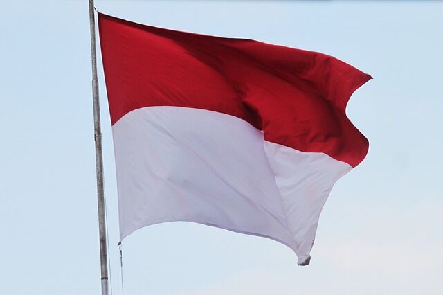 flag-857988_640