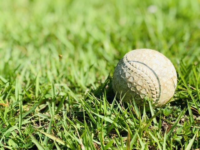 軟式野球←安全・安い・硬式に転向できる 軟式テニス←これ