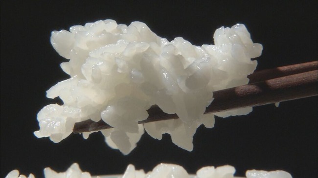 uUzvQ3lML_bkIqyakc1vFhNrRI0RUQxg5aFkrX0xDg1_T0wXrbEJjtNGtrf1