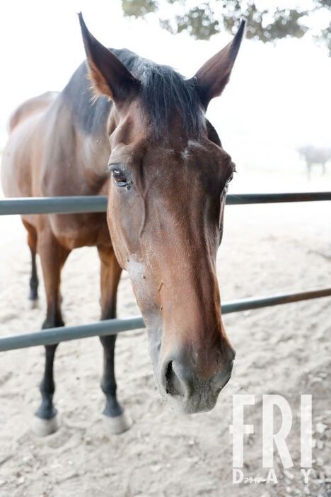 uUzvQ3lML_bkIqyakc1vFhNrRI0RUQxg5aFkrX0xDg1_T0wXrbEJjtNGtrf1