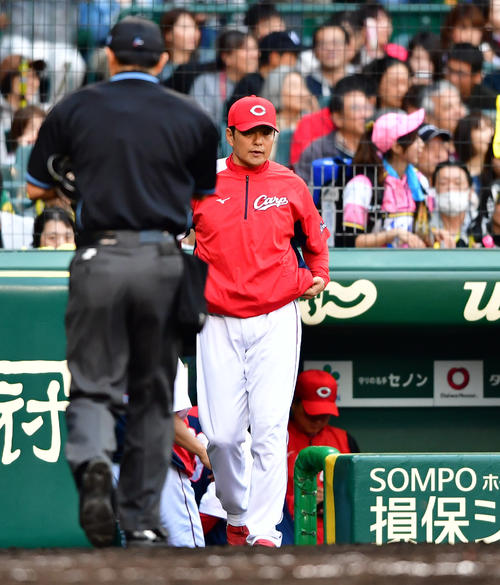 201905010001002-w500_0