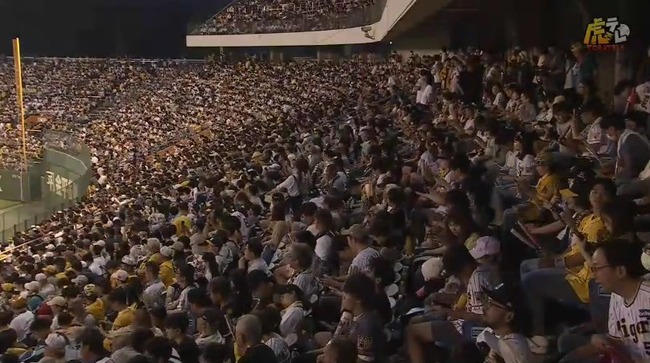 aaa_20240625_192339.mp4_snapshot_00.01.640