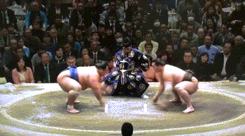 koto