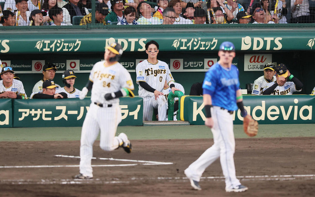 202410120001223-w1300_4