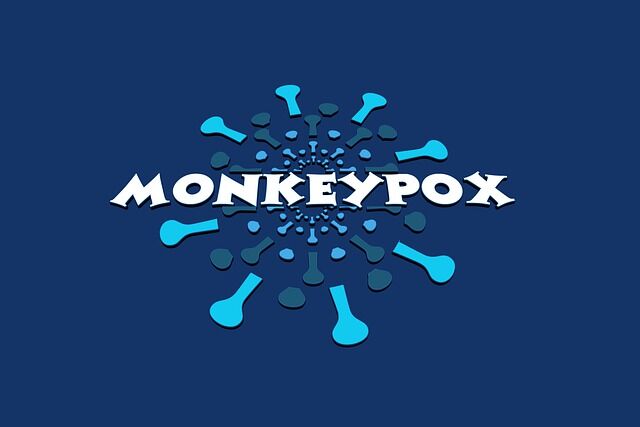 monkeypox-g8da6a419d_640