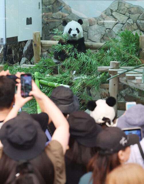 uUzvQ3lML_bkIqyakc1vFhNrRI0RUQxg5aFkrX0xDg1_T0wXrbEJjtNGtrf1