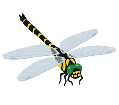 bug_tonbo_oniyanma