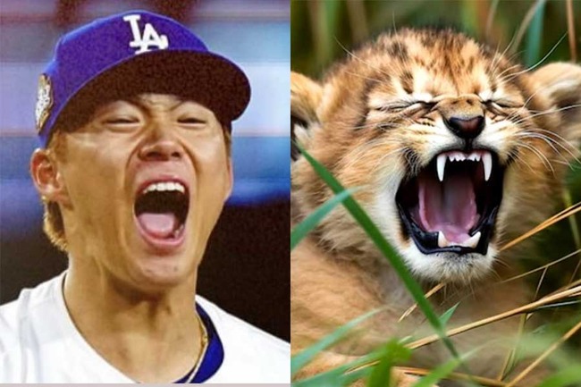 20241027_yamamoto2_of