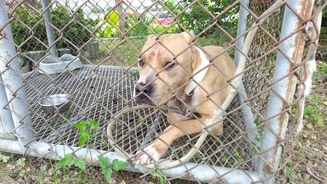 uUzvQ3lML_bkIqyakc1vFhNrRI0RUQxg5aFkrX0xDg1_T0wXrbEJjtNGtrf1