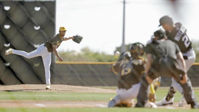 202503020000338-w1300_2