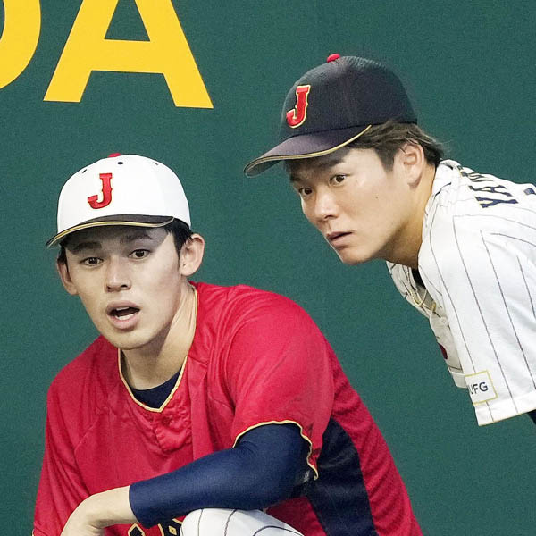 5ce075c2c8dbfbb4c307e3936d2ab4bd20241127100452974