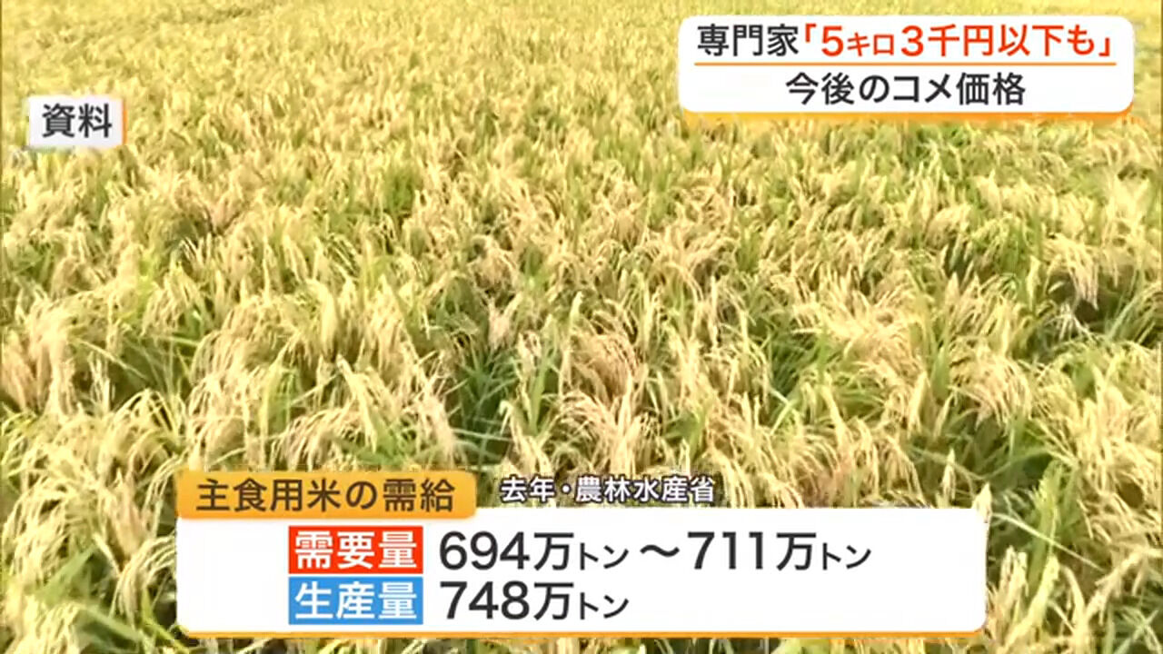 【悲報】米問屋「米が売れないから値下げしないと次の仕入れができない！」