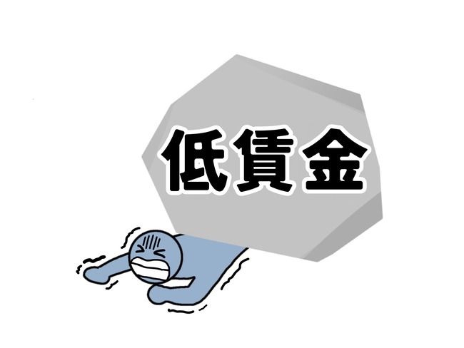 24545366