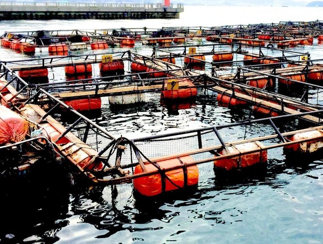 uUzvQ3lML_bkIqyakc1vFhNrRI0RUQxg5aFkrX0xDg1_T0wXrbEJjtNG_003