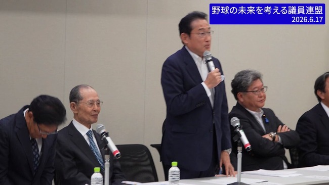 王貞治さん、球団数拡大に言及 野球議連参加、栗山英樹さんものサムネイル