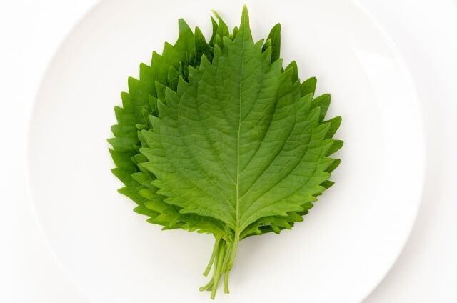 美味くて草ってなった草のサムネイル