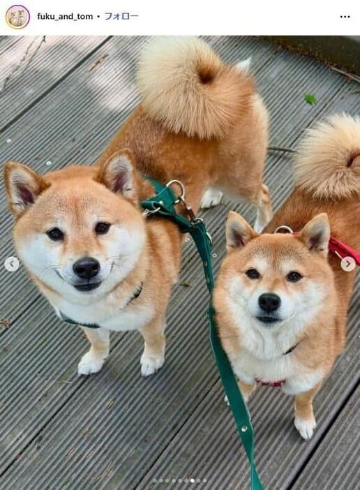 uUzvQ3lML_bkIqyakc1vFhNrRI0RUQxg5aFkrX0xDg1_T0wXrbEJjtNGtrf1