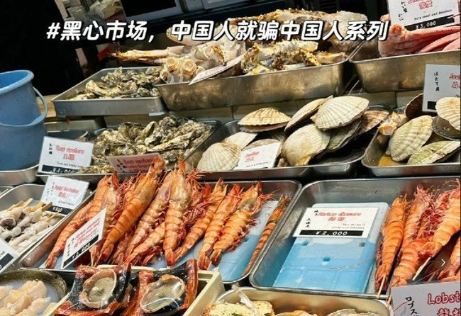 uUzvQ3lML_bkIqyakc1vFhNrRI0RUQxg5aFkrX0xDg1_T0wXrbEJjtNGtrf1