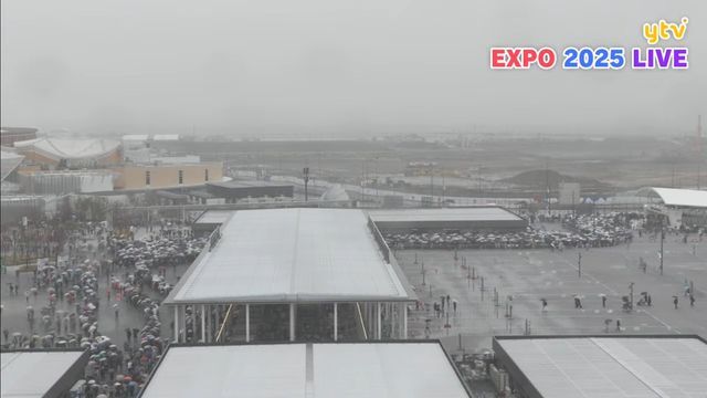 uUzvQ3lML_bkIqyakc1vFhNrRI0RUQxg5aFkrX0xDg1_T0wXrbEJjtNG_004