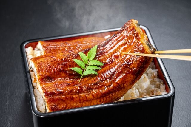 人類「ウナギの蒲焼き以外の料理方法考えなきゃ…」←これ