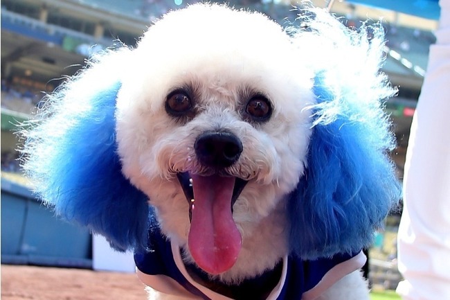 uUzvQ3lML_bkIqyakc1vFhNrRI0RUQxg5aFkrX0xDg1_T0wXrbEJjtNGtrf1