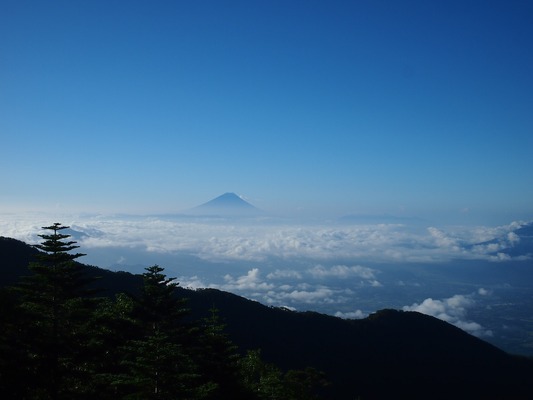 BA10A537-5C39-481C-9C91-CFBD68743AB3