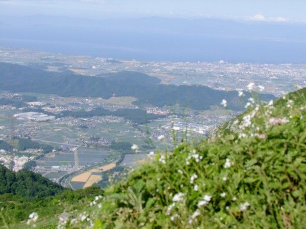 DSCF3954