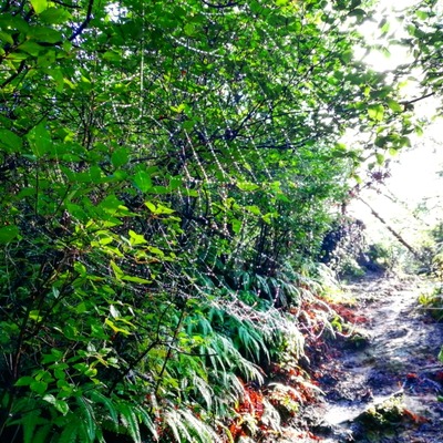 IMG_20200722_114520_699