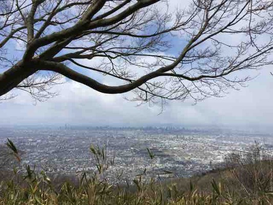 7BFE1D1C-C361-4C9A-8143-9A92C9E39DD3