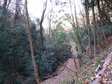 落葉山2