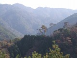 落葉山3