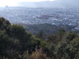 東山トレイル3