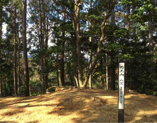 2A95249D-30F7-4A71-9A9E-BCC741287FA9