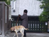 東山トレイル4