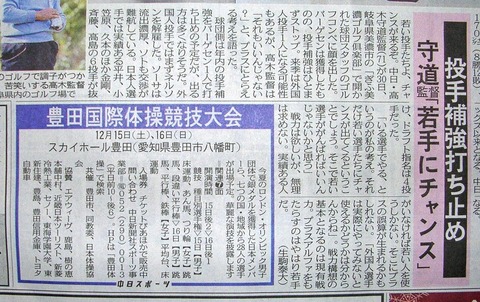 vlbaseball021407