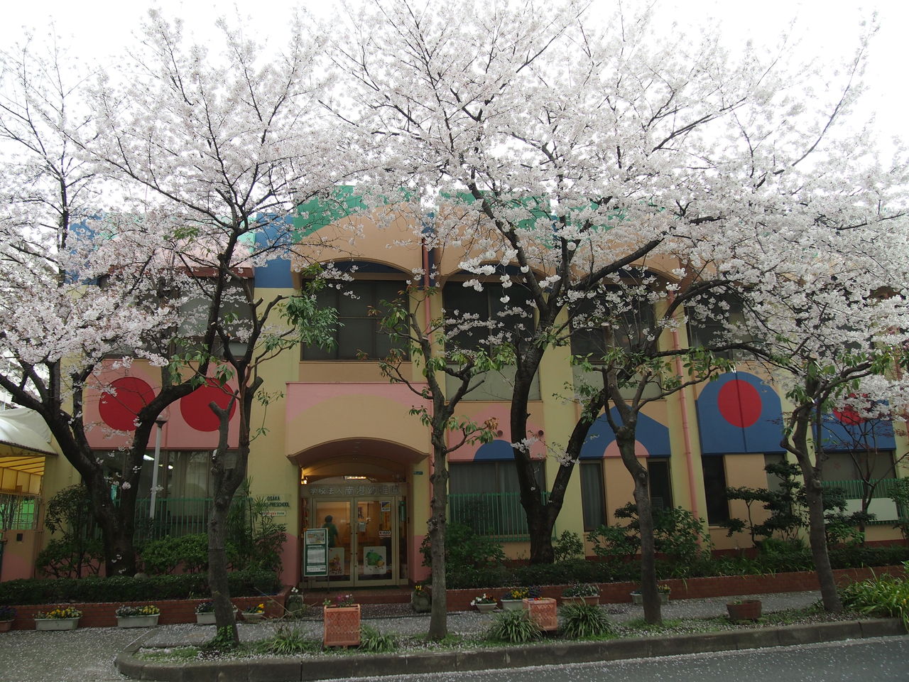 卒園生大集合 南港幼稚園ブログ