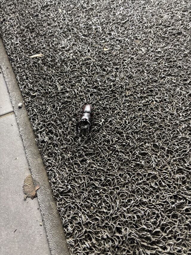 no title