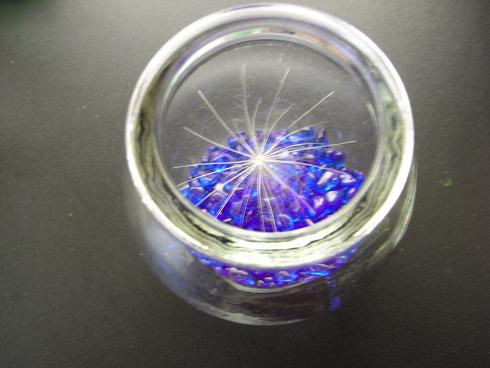 ちびまるこちゃんで放映 幸せのケセランパセラン ケサランパサラン 幸せを呼ぶケセランパセラン ちびまるこちゃんで放映 幸せのケセランパセラン ケサランパサラン 幸せを呼ぶケセランパセラン