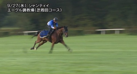 スクリーンショット 2023-09-28 001443