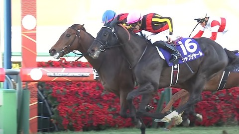 さておき競馬まとめ : 2024年重賞競走・リステッド競走の年間レースレーティングが発表!