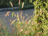 CIMG0620