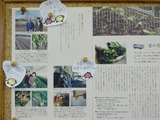 CIMG1050
