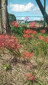 4a66a797.jpg