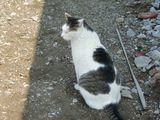 CIMG0230