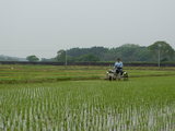 PICT4716