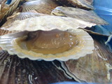 CIMG0853
