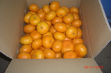 CIMG2223